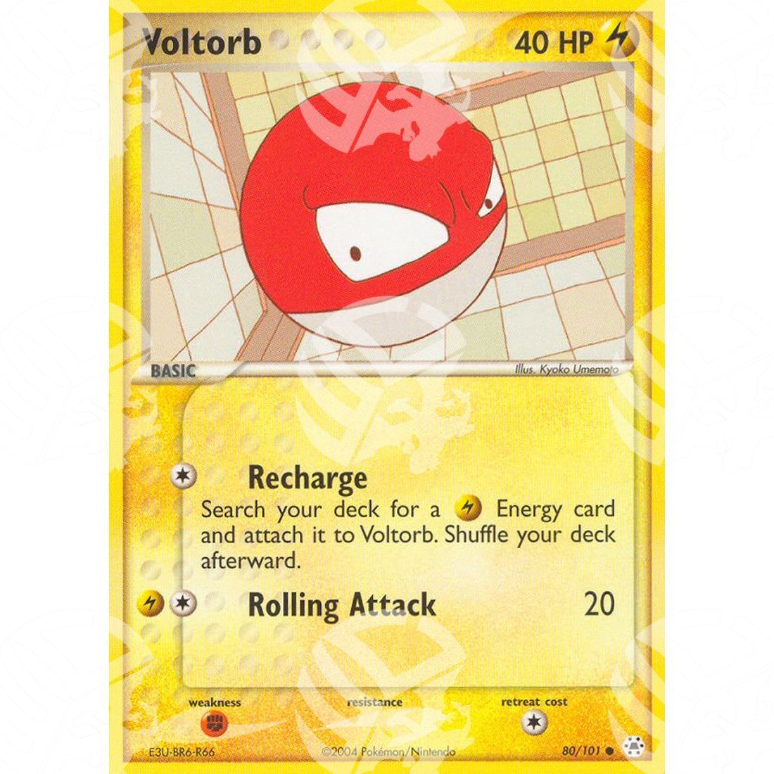 EX Leggende Nascoste - Voltorb - 80/101 - Warcard - EX Leggende Nascoste - Voltorb - 80/101 i prezzi più bassi sul mercato, solo da www.warcardshop.com! Carte singole, box, buste e mazzi.