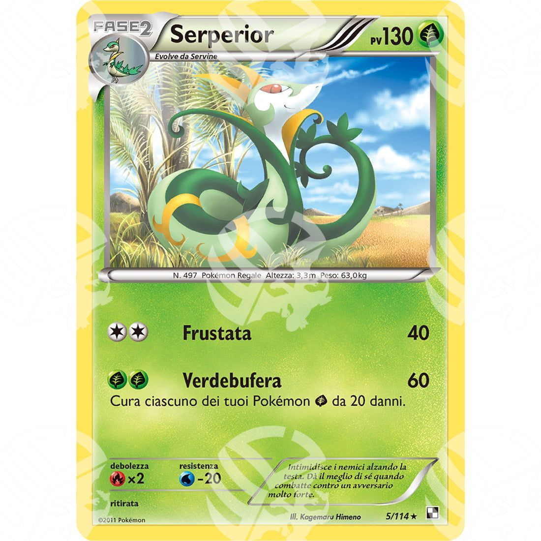 Nero e Bianco - Serperior - Holo Rare 5/114 - Warcard - Nero e Bianco - Serperior - Holo Rare 5/114 i prezzi più bassi sul mercato, solo da www.warcardshop.com! Carte singole, box, buste e mazzi.