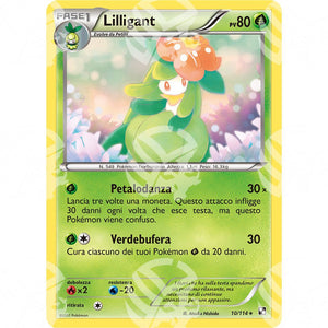 Nero e Bianco - Lilligant - 10/114 - Warcard - Nero e Bianco - Lilligant - 10/114 i prezzi più bassi sul mercato, solo da www.warcardshop.com! Carte singole, box, buste e mazzi.