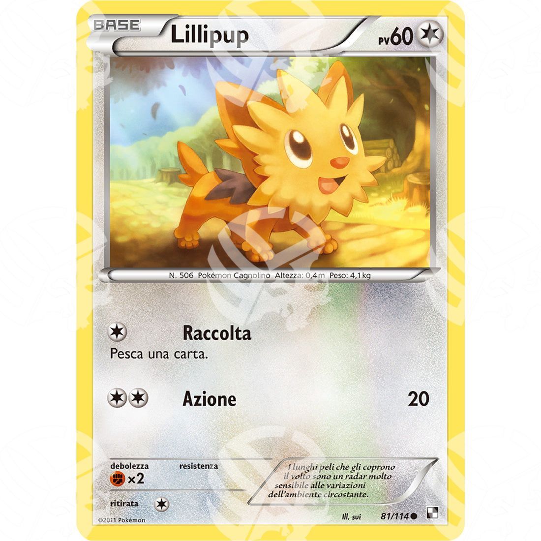 Nero e Bianco - Lillipup - 81/114 - Warcard - Nero e Bianco - Lillipup - 81/114 i prezzi più bassi sul mercato, solo da www.warcardshop.com! Carte singole, box, buste e mazzi.