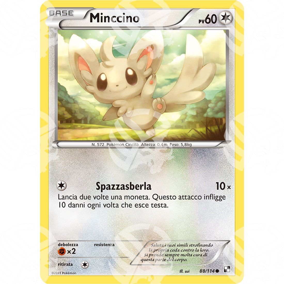 Nero e Bianco - Minccino - 88/114 - Warcard - Nero e Bianco - Minccino - 88/114 i prezzi più bassi sul mercato, solo da www.warcardshop.com! Carte singole, box, buste e mazzi.