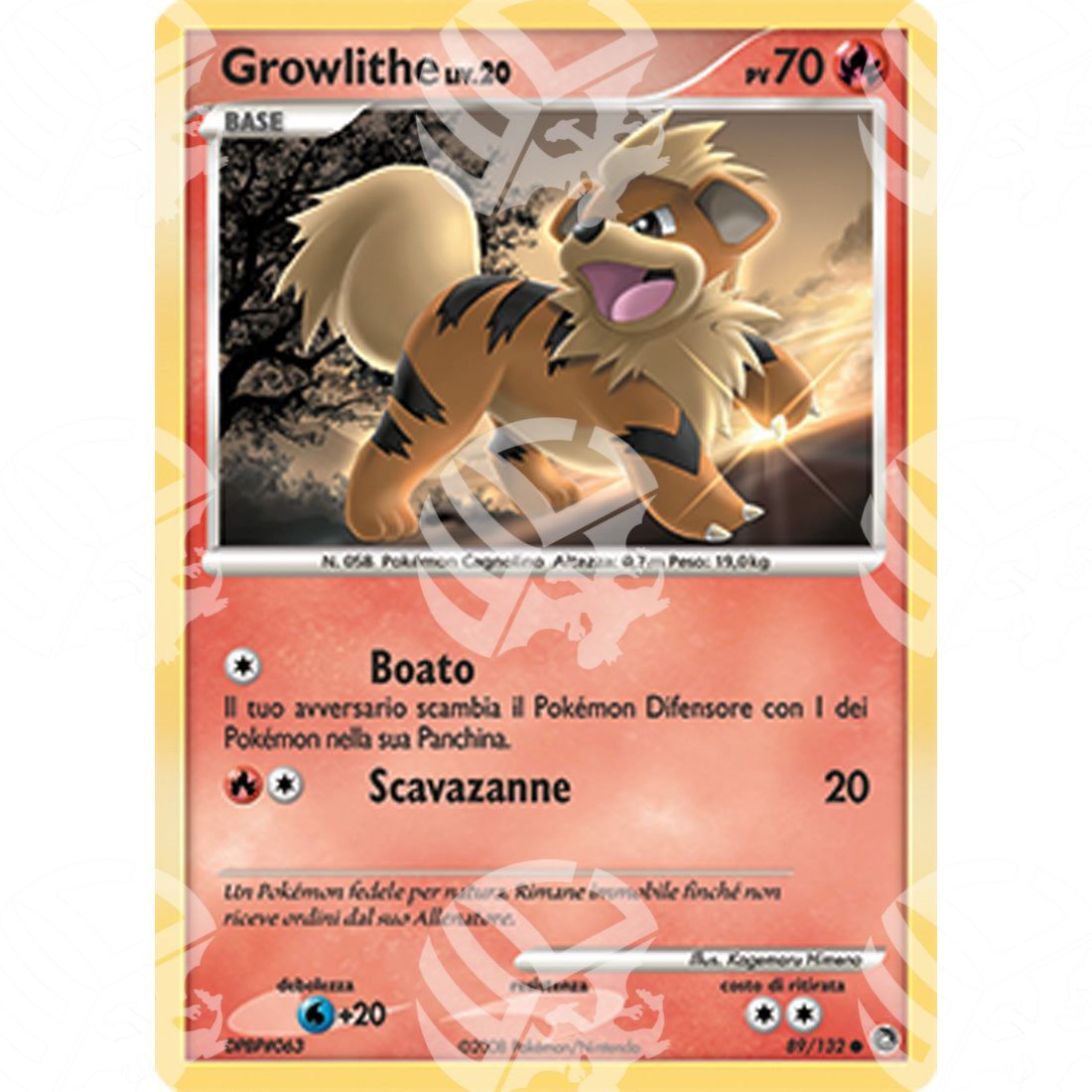 Prodigi Segreti - Growlithe Lv.20 - 89/132 - Warcard - Prodigi Segreti - Growlithe Lv.20 - 89/132 i prezzi più bassi sul mercato, solo da www.warcardshop.com! Carte singole, box, buste e mazzi.