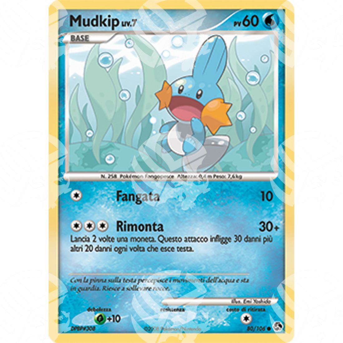 Incontri Leggendari - Mudkip - 80/106 - Warcard - Incontri Leggendari - Mudkip - 80/106 i prezzi più bassi sul mercato, solo da www.warcardshop.com! Carte singole, box, buste e mazzi.