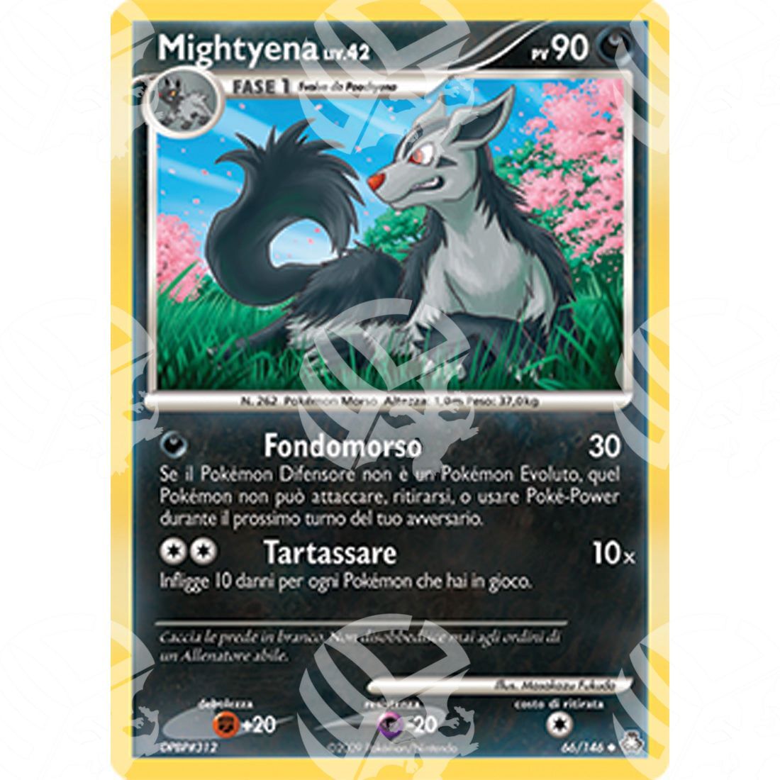 Il Risveglio dei Miti - Mightyena Lv.42 - 66/146 - Warcard - Il Risveglio dei Miti - Mightyena Lv.42 - 66/146 i prezzi più bassi sul mercato, solo da www.warcardshop.com! Carte singole, box, buste e mazzi.