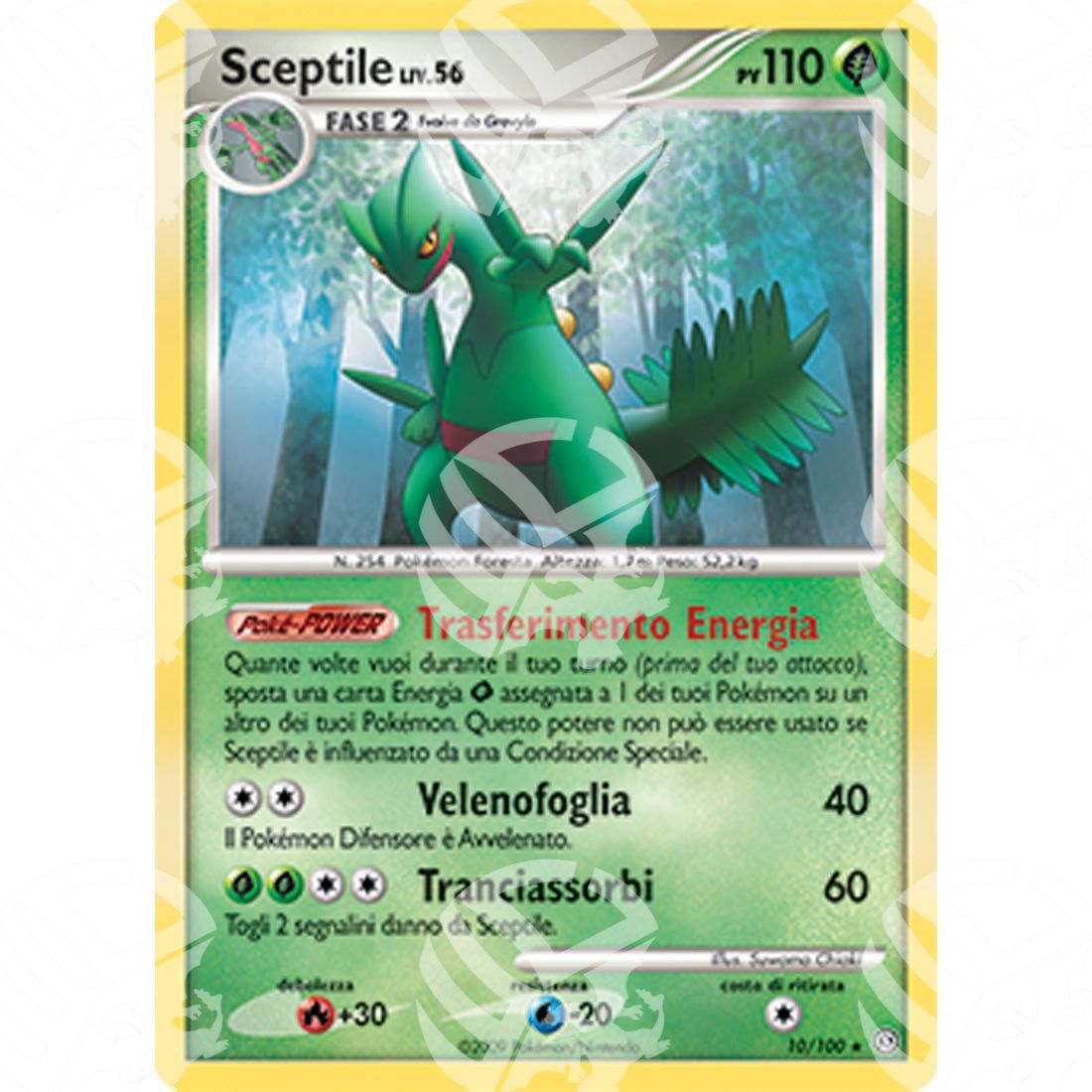 Fronte di Tempesta - Sceptile - Holo Rare 10/100 - Warcard - Fronte di Tempesta - Sceptile - Holo Rare 10/100 i prezzi più bassi sul mercato, solo da www.warcardshop.com! Carte singole, box, buste e mazzi.