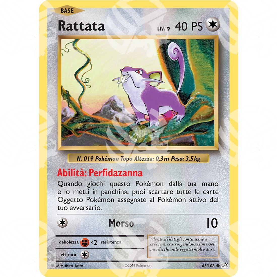 Evoluzioni - Rattata - 66/108 - Warcard - Evoluzioni - Rattata - 66/108 i prezzi più bassi sul mercato, solo da www.warcardshop.com! Carte singole, box, buste e mazzi.