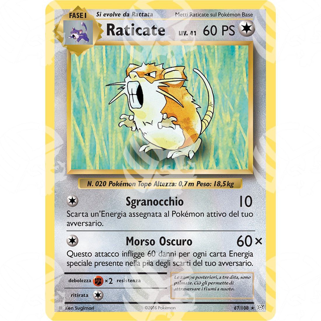 Evoluzioni - Raticate - 67/108 - Warcard - Evoluzioni - Raticate - 67/108 i prezzi più bassi sul mercato, solo da www.warcardshop.com! Carte singole, box, buste e mazzi.