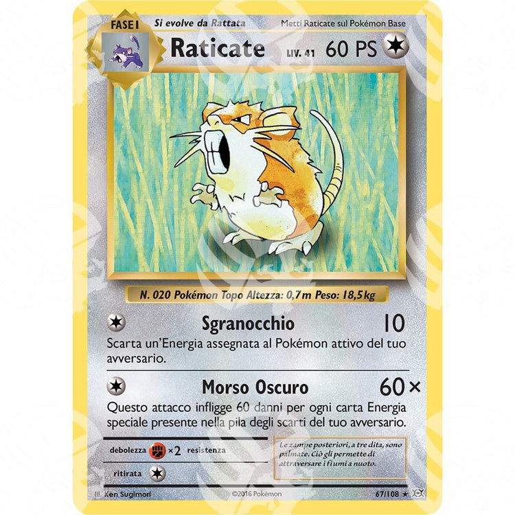 Evoluzioni - Raticate - 67/108 - Warcard - Evoluzioni - Raticate - 67/108 i prezzi più bassi sul mercato, solo da www.warcardshop.com! Carte singole, box, buste e mazzi.