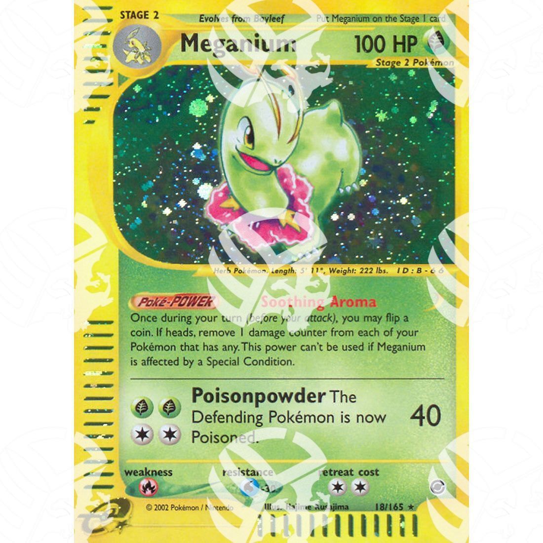 Expedition - Meganium - Holo Rare 18/165 - Warcard - Expedition - Meganium - Holo Rare 18/165 i prezzi più bassi sul mercato, solo da www.warcardshop.com! Carte singole, box, buste e mazzi.