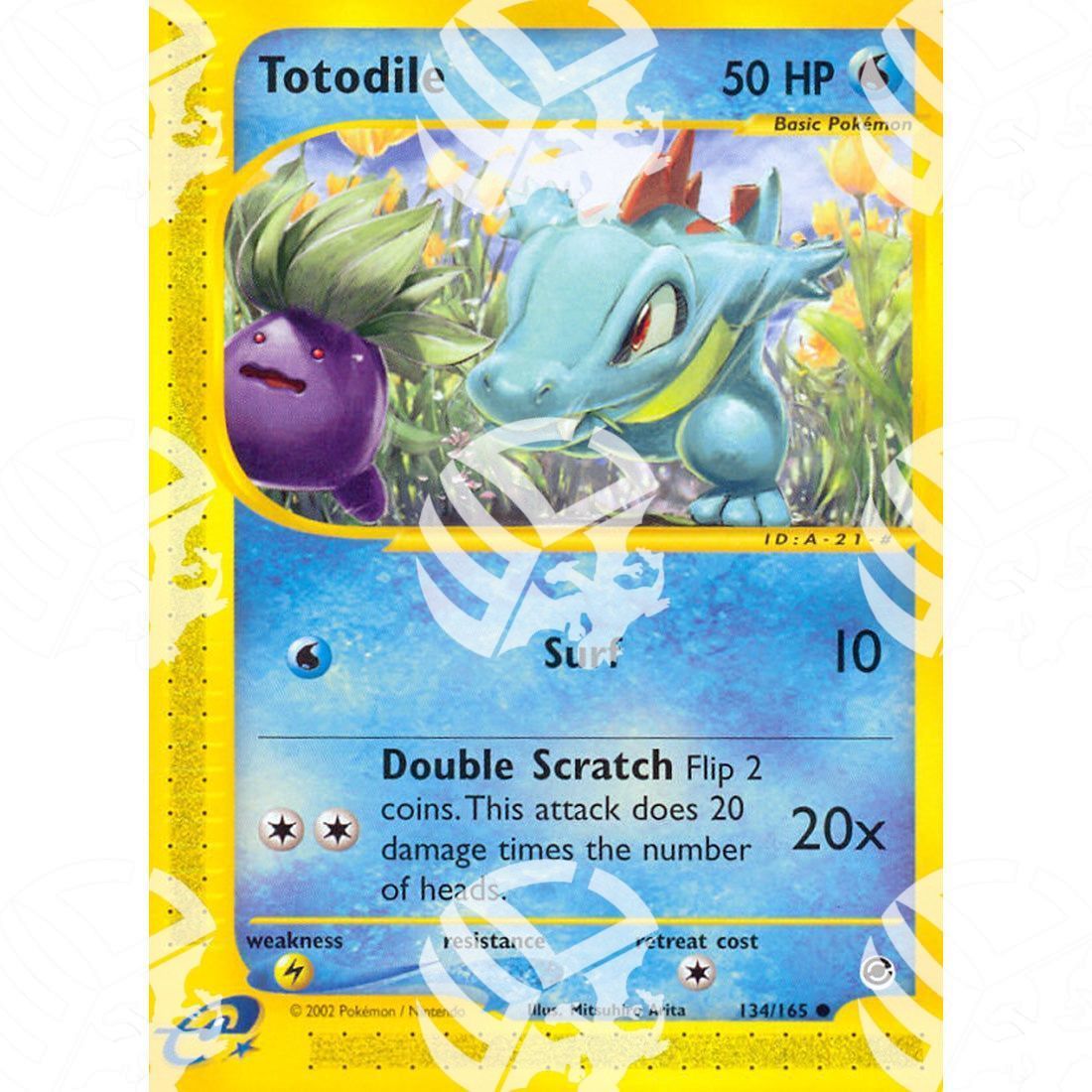 Expedition - Totodile - 134/165 - Warcard - Expedition - Totodile - 134/165 i prezzi più bassi sul mercato, solo da www.warcardshop.com! Carte singole, box, buste e mazzi.