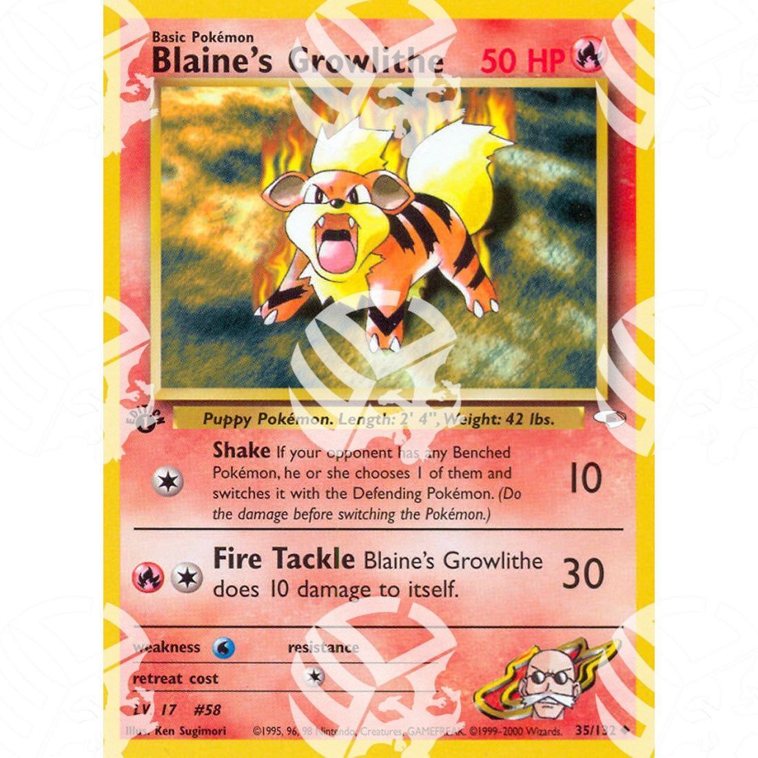 Gym Heroes - Blaine's Growlithe - 35/132 - Warcard - Gym Heroes - Blaine's Growlithe - 35/132 i prezzi più bassi sul mercato, solo da www.warcardshop.com! Carte singole, box, buste e mazzi.