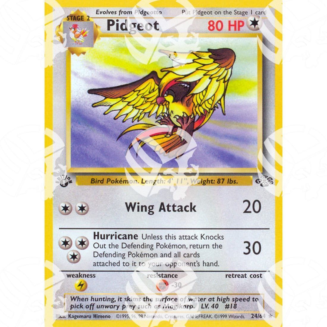 Jungle - Pidgeot - 24/64 - Warcard - Jungle - Pidgeot - 24/64 i prezzi più bassi sul mercato, solo da www.warcardshop.com! Carte singole, box, buste e mazzi.