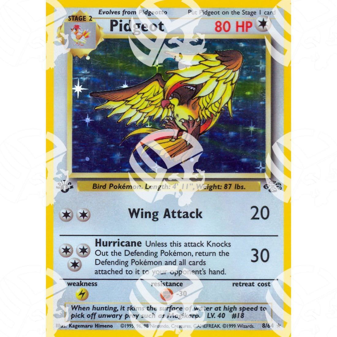 Jungle - Pidgeot - Holo Rare 8/64 - Warcard - Jungle - Pidgeot - Holo Rare 8/64 i prezzi più bassi sul mercato, solo da www.warcardshop.com! Carte singole, box, buste e mazzi.