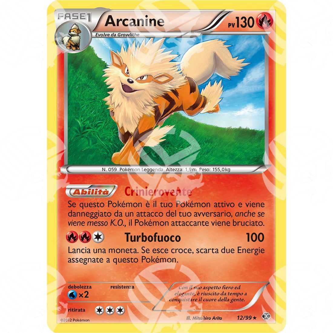 Destini Futuri - Arcanine - 36495 - Warcard - Destini Futuri - Arcanine - 36495 i prezzi più bassi sul mercato, solo da www.warcardshop.com! Carte singole, box, buste e mazzi.