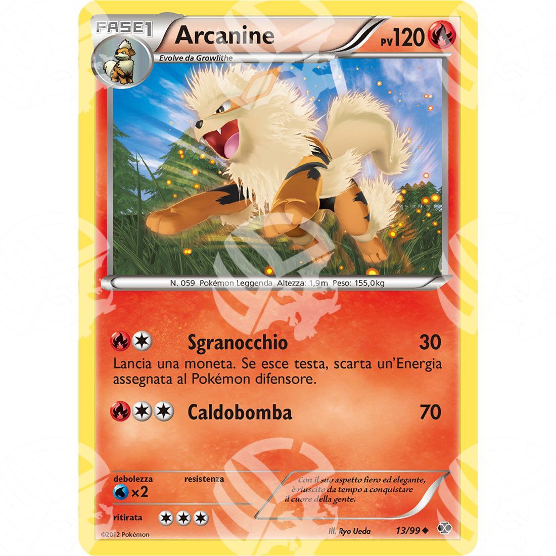 Destini Futuri - Arcanine - 13/99 - Warcard - Destini Futuri - Arcanine - 13/99 i prezzi più bassi sul mercato, solo da www.warcardshop.com! Carte singole, box, buste e mazzi.