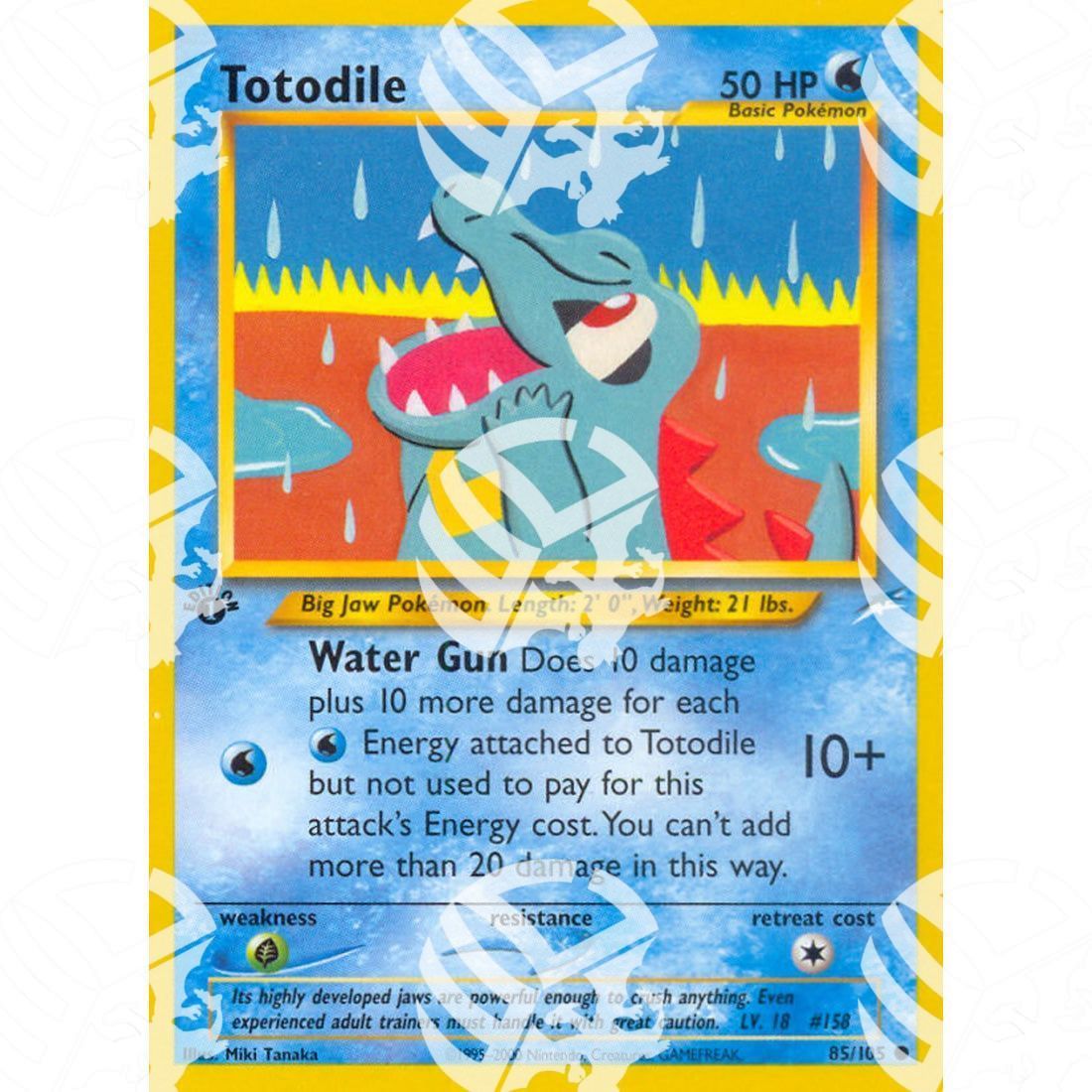 Neo Destiny - Totodile - 85/105 - Warcard - Neo Destiny - Totodile - 85/105 i prezzi più bassi sul mercato, solo da www.warcardshop.com! Carte singole, box, buste e mazzi.