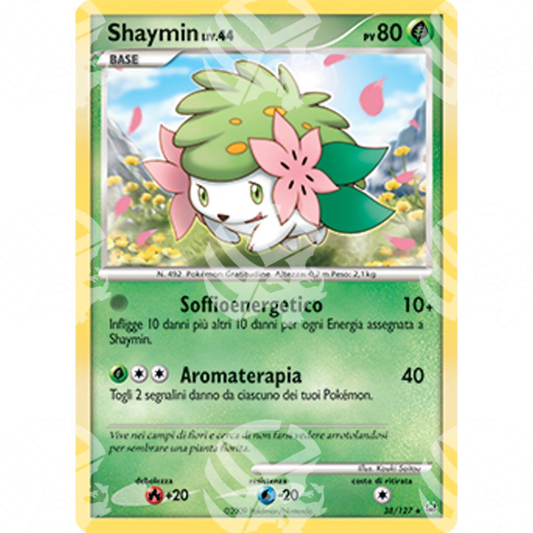 Platino - Shaymin Lv.44 - 038/127 - Warcard - Platino - Shaymin Lv.44 - 038/127 i prezzi più bassi sul mercato, solo da www.warcardshop.com! Carte singole, box, buste e mazzi.