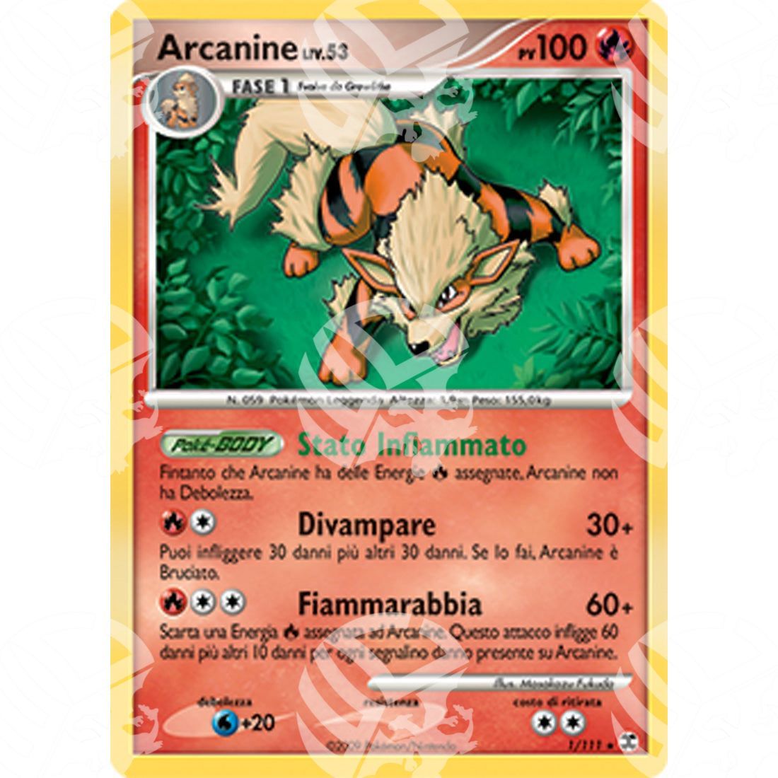 L'Ascesa dei Rivali - Arcanine - Holo Rare 1/111 - Warcard - L'Ascesa dei Rivali - Arcanine - Holo Rare 1/111 i prezzi più bassi sul mercato, solo da www.warcardshop.com! Carte singole, box, buste e mazzi.