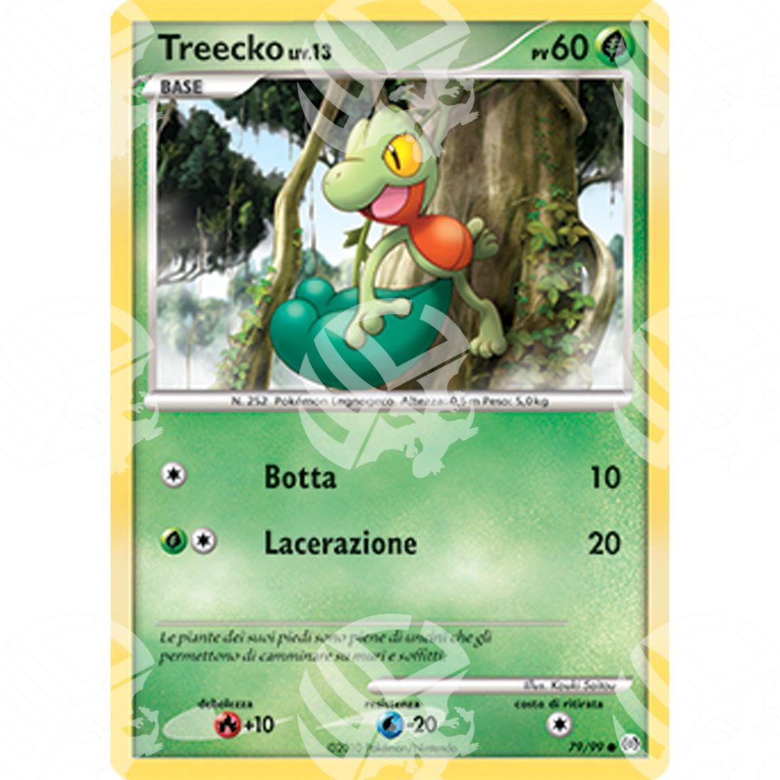 Platino Arceus - Treecko - 79/99 - Warcard - Platino Arceus - Treecko - 79/99 i prezzi più bassi sul mercato, solo da www.warcardshop.com! Carte singole, box, buste e mazzi.