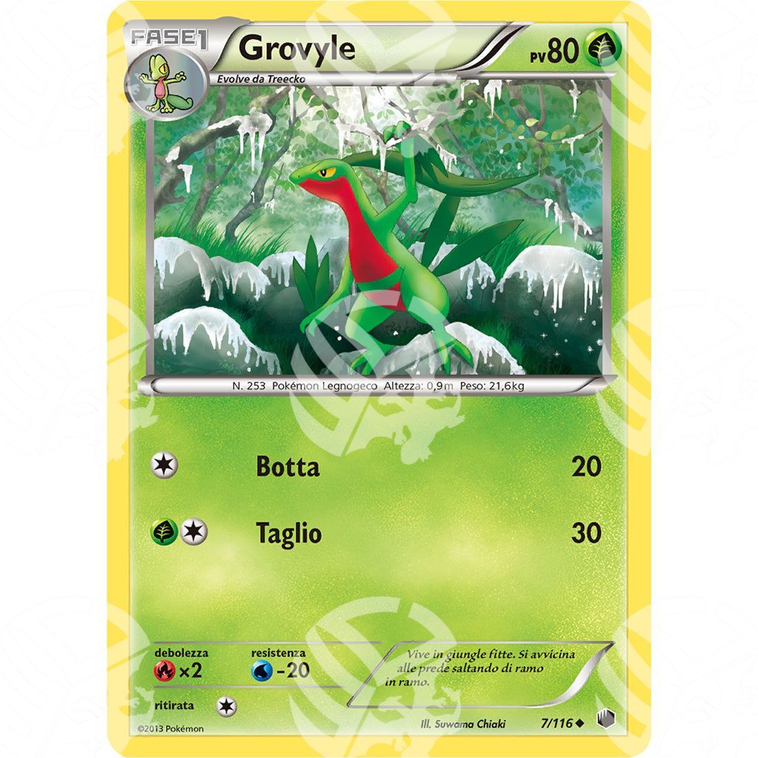 Glaciazione Plasma - Grovyle - 7/116 - Warcard - Glaciazione Plasma - Grovyle - 7/116 i prezzi più bassi sul mercato, solo da www.warcardshop.com! Carte singole, box, buste e mazzi.