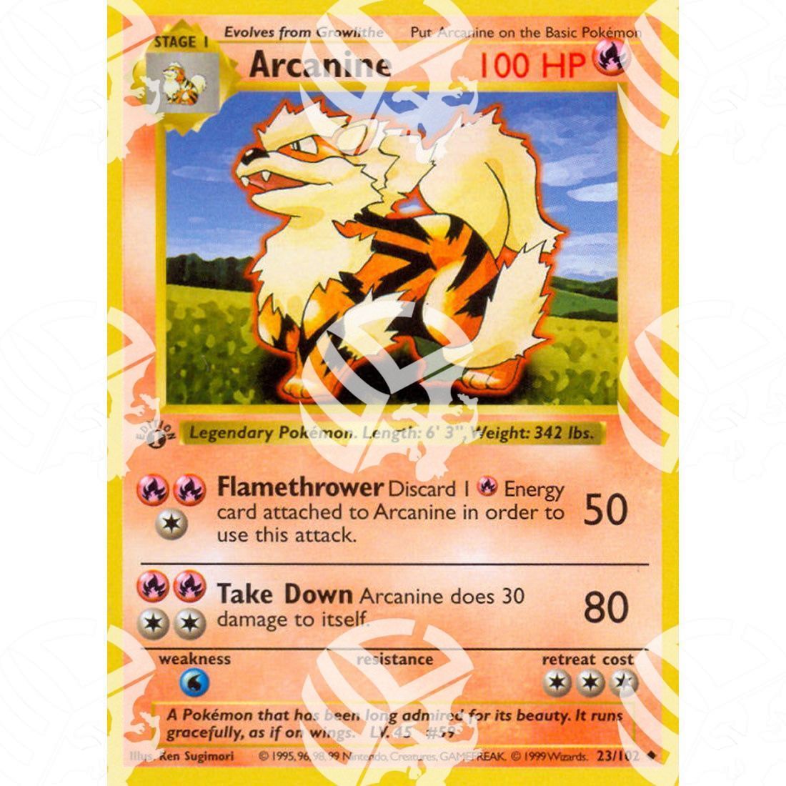 Set Base - Arcanine - 23/102 - Warcard - Set Base - Arcanine - 23/102 i prezzi più bassi sul mercato, solo da www.warcardshop.com! Carte singole, box, buste e mazzi.