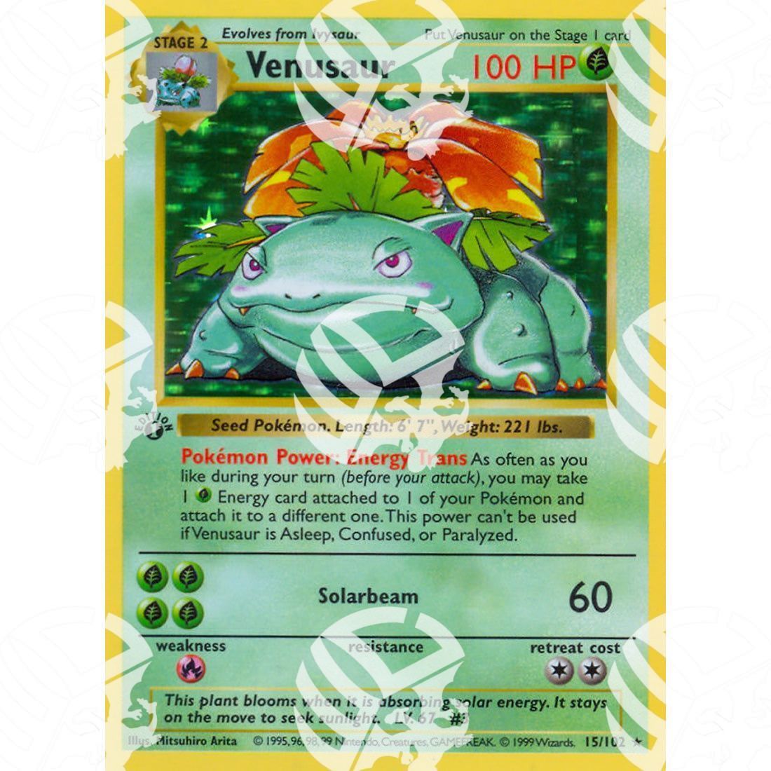 Set Base - Venusaur - Holo Rare 15/102 - Warcard - Set Base - Venusaur - Holo Rare 15/102 i prezzi più bassi sul mercato, solo da www.warcardshop.com! Carte singole, box, buste e mazzi.