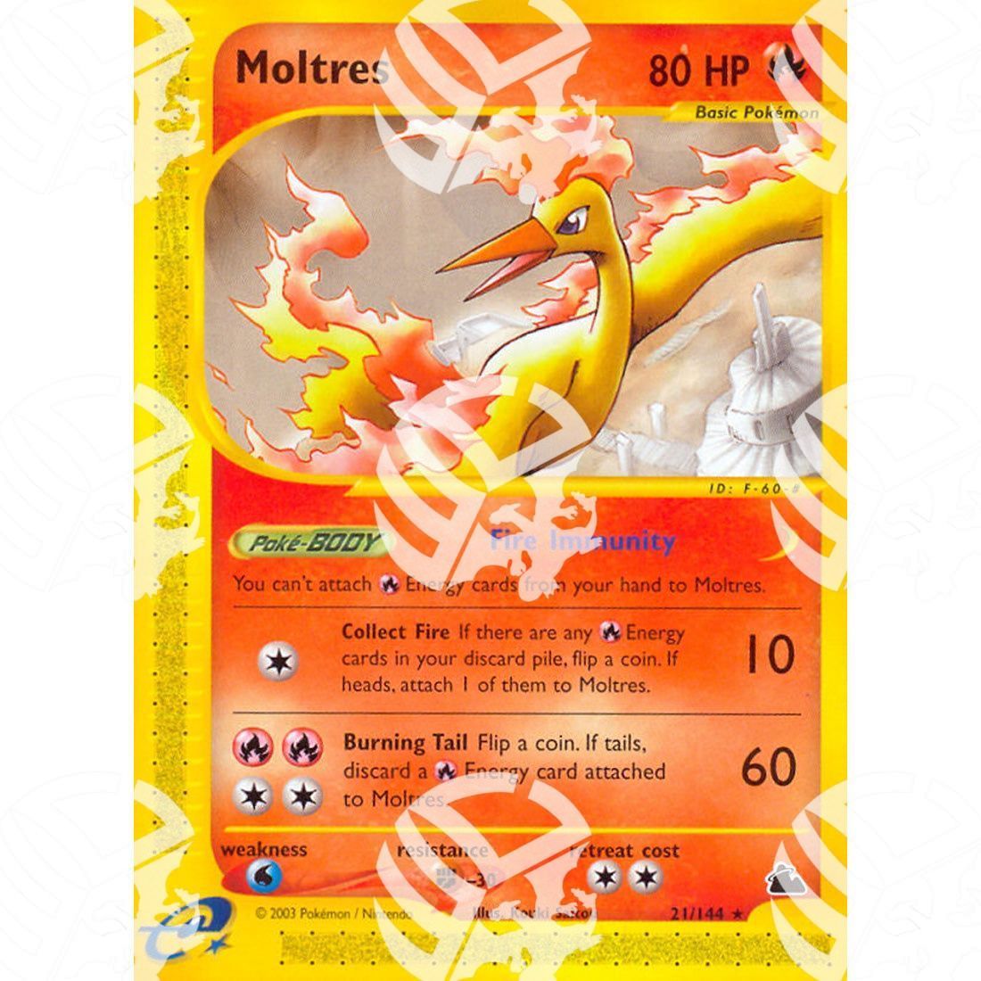 Skyridge - Moltres - 21/144 - Warcard - Skyridge - Moltres - 21/144 i prezzi più bassi sul mercato, solo da www.warcardshop.com! Carte singole, box, buste e mazzi.