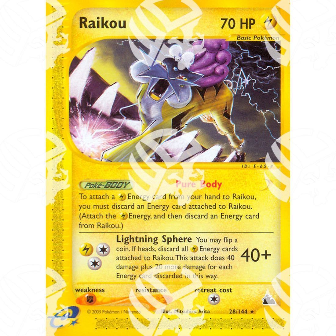 Skyridge - Raikou - 28/144 - Warcard - Skyridge - Raikou - 28/144 i prezzi più bassi sul mercato, solo da www.warcardshop.com! Carte singole, box, buste e mazzi.