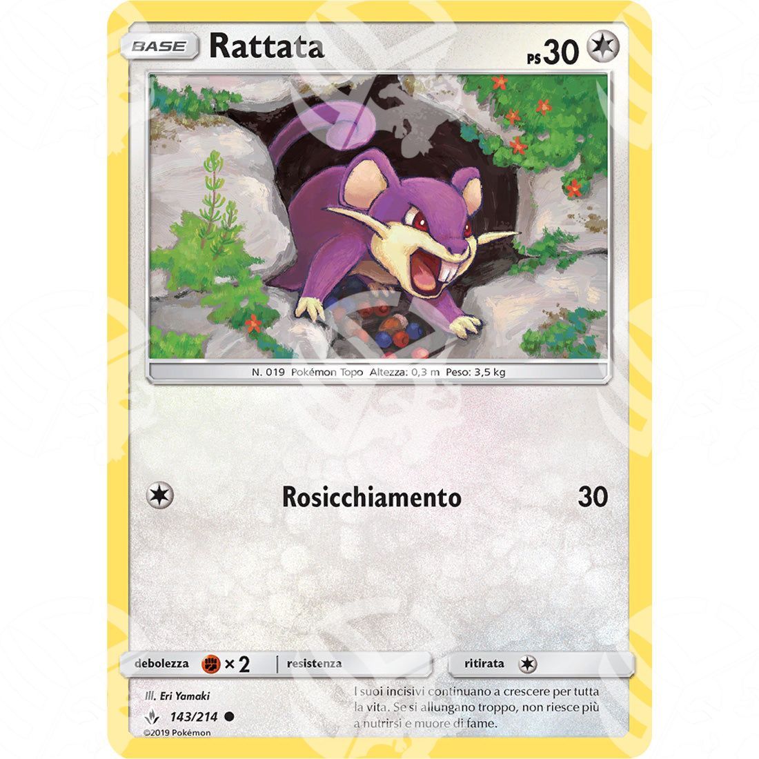 Legami Inossidabili - Rattata - 143/214 - Warcard - Legami Inossidabili - Rattata - 143/214 i prezzi più bassi sul mercato, solo da www.warcardshop.com! Carte singole, box, buste e mazzi.