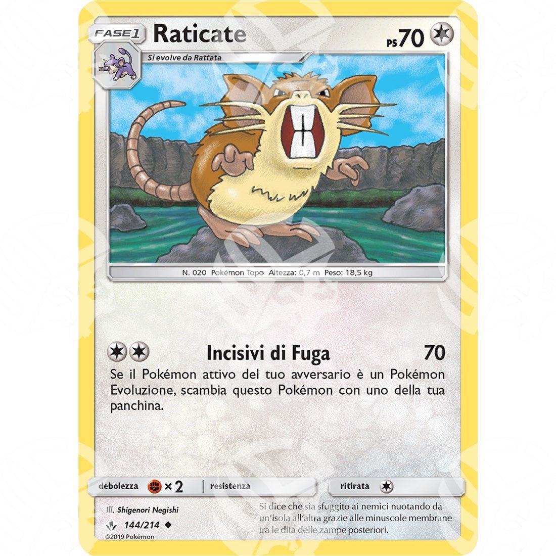 Legami Inossidabili - Raticate - 144/214 - Warcard - Legami Inossidabili - Raticate - 144/214 i prezzi più bassi sul mercato, solo da www.warcardshop.com! Carte singole, box, buste e mazzi.