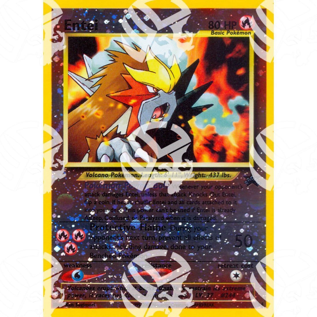 Wizards Black Star Promos - Entei - 34 - Warcard - Wizards Black Star Promos - Entei - 34 i prezzi più bassi sul mercato, solo da www.warcardshop.com! Carte singole, box, buste e mazzi.