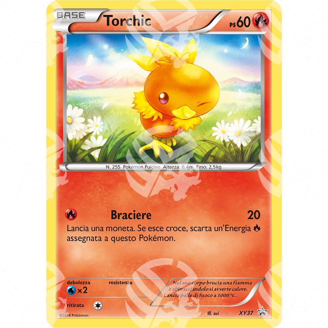 Black Star Promos - XY - Torchic - Holo Promo XY37 - Warcard - Black Star Promos - XY - Torchic - Holo Promo XY37 i prezzi più bassi sul mercato, solo da www.warcardshop.com! Carte singole, box, buste e mazzi.