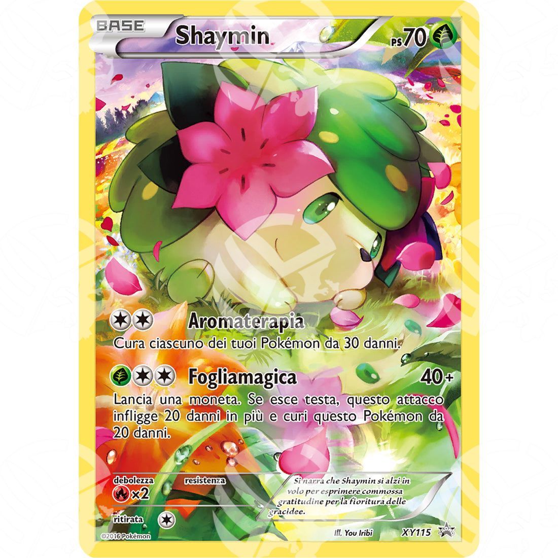 Black Star Promos - XY - Shaymin - Holo Promo XY115 - Warcard - Black Star Promos - XY - Shaymin - Holo Promo XY115 i prezzi più bassi sul mercato, solo da www.warcardshop.com! Carte singole, box, buste e mazzi.