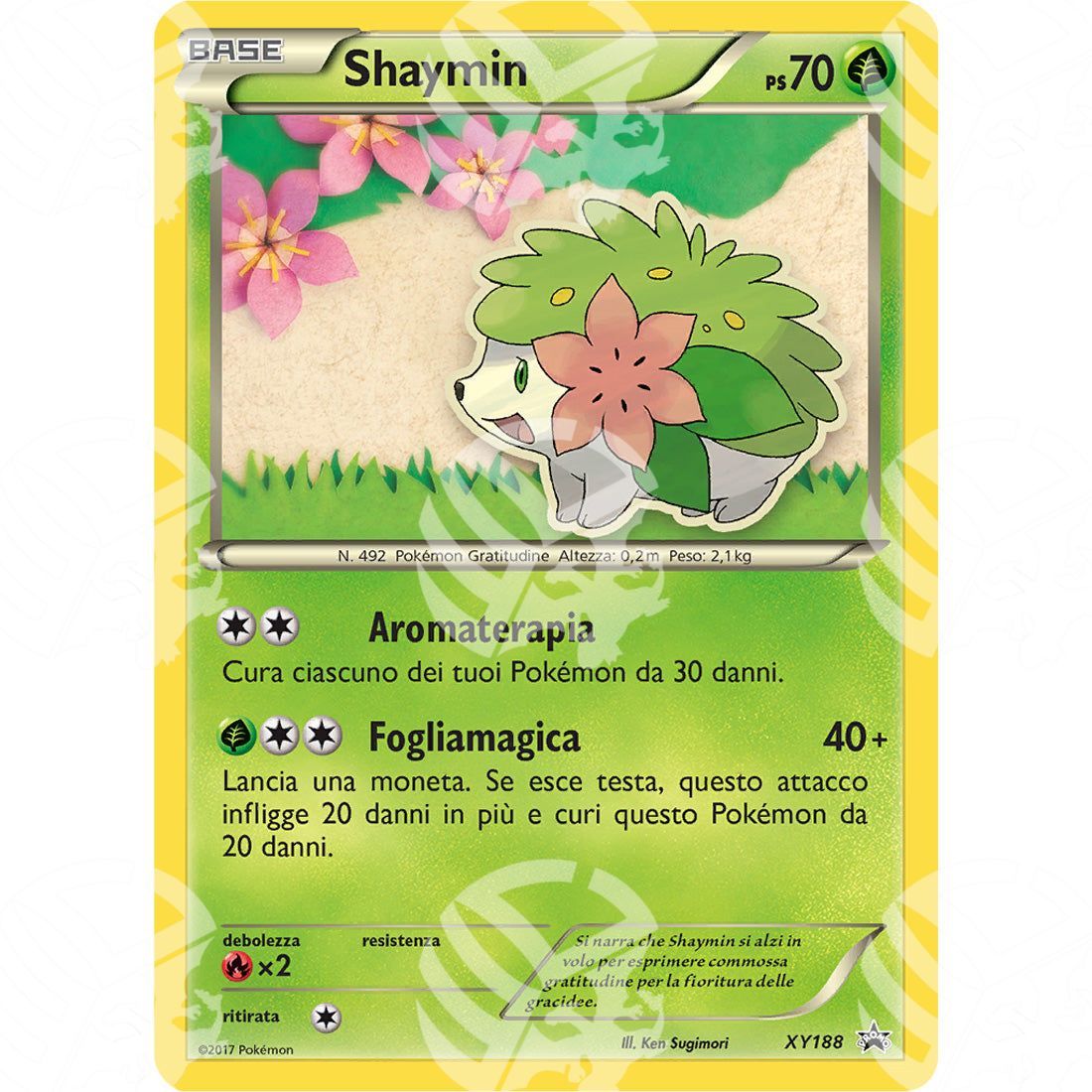 Black Star Promos - XY - Shaymin - Holo Promo XY188 - Warcard - Black Star Promos - XY - Shaymin - Holo Promo XY188 i prezzi più bassi sul mercato, solo da www.warcardshop.com! Carte singole, box, buste e mazzi.