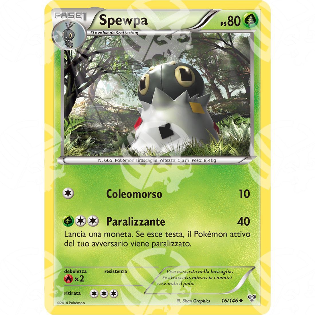 XY - Spewpa - 16/146 - Warcard - XY - Spewpa - 16/146 i prezzi più bassi sul mercato, solo da www.warcardshop.com! Carte singole, box, buste e mazzi.