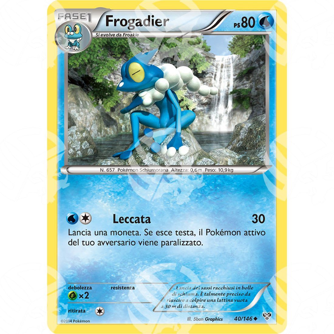 XY - Frogadier - 40/146 - Warcard - XY - Frogadier - 40/146 i prezzi più bassi sul mercato, solo da www.warcardshop.com! Carte singole, box, buste e mazzi.