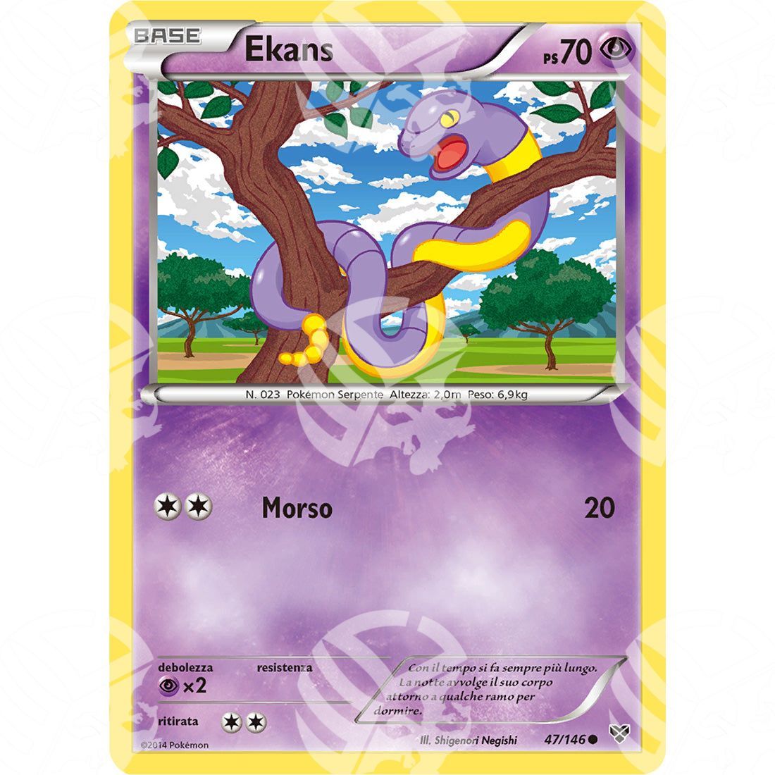 XY - Ekans - 47/146 - Warcard - XY - Ekans - 47/146 i prezzi più bassi sul mercato, solo da www.warcardshop.com! Carte singole, box, buste e mazzi.