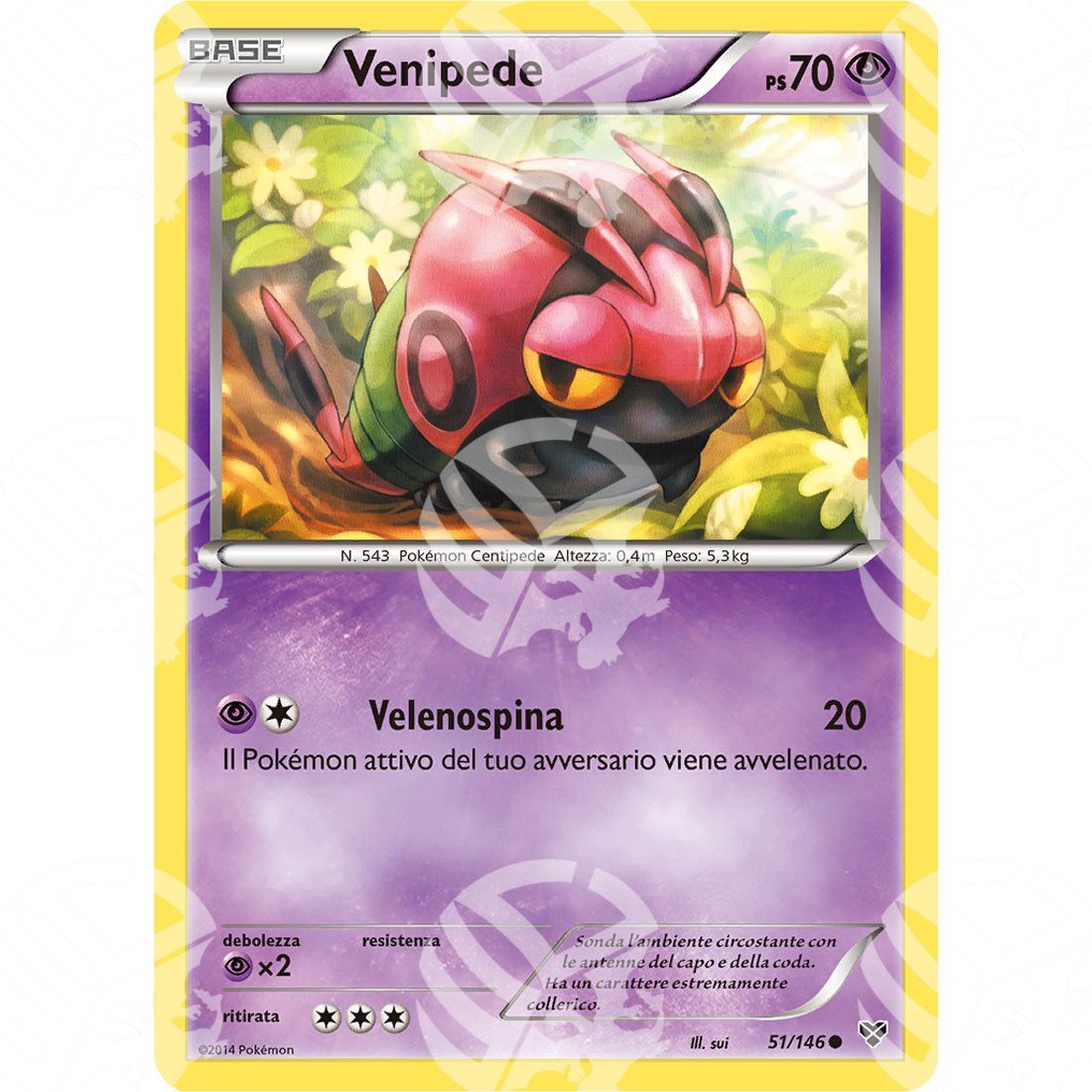 XY - Venipede - 51/146 - Warcard - XY - Venipede - 51/146 i prezzi più bassi sul mercato, solo da www.warcardshop.com! Carte singole, box, buste e mazzi.